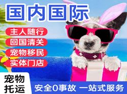 韶关丹霞机场物流国际宠物托运 【国
